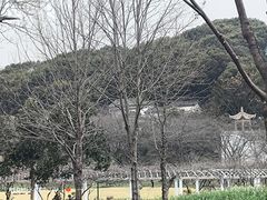-苏州上方山国家森林公园