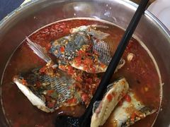 -风鑫铃罗非鱼(道沟店)