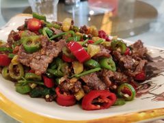 -椿记烧鹅(叠彩店)