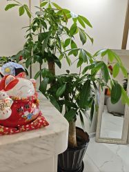 -金都微美·精准护肤·疗愈SPA