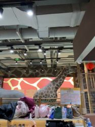 -鲁比猴非洲探索部落(喜盈门店)