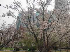 -西北湖绿化广场