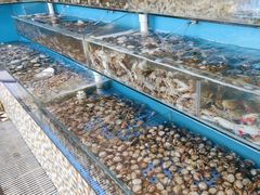 -港畔赶海蒸汽海鲜烧烤自助(仙螺岛店)