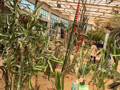 -石家庄市植物园