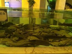 iphone_upload_pic-旺顺阁海鲜广场(亚运村店)