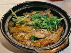 -迈姨·潮州菜(麓湖公园店)