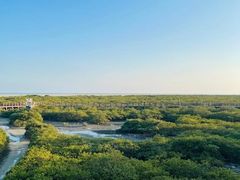 -北海金海湾红树林生态旅游区