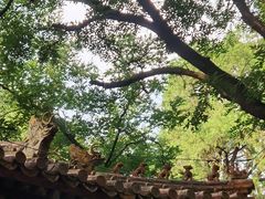 -北京国子监胡同