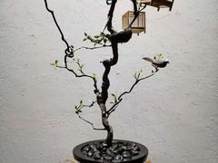 景观位-翡翠江南(国贸商城店)