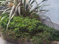 -外滩·云南人家(昆明旗舰店)