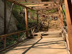 -大岭沟猕猴桃谷风景区