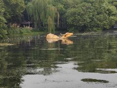 -西湖游船