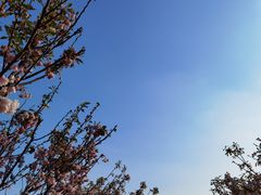-观澜湖生态运动公社