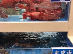 -双井轩(双井店)