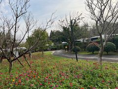 -东平国家森林公园