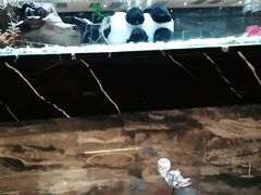 -红辣椒·川菜·火锅(张杨路店)