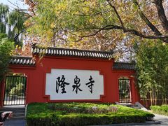 -百脉泉景区