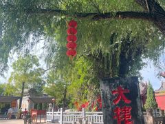 -大槐树寻根祭祖园