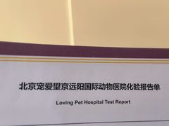 -宠爱国际动物医院·消化内科·心肾内科·ISFM猫友好(望京店)