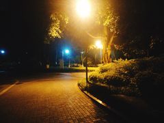 -龙头寺公园