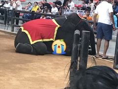 -东芭乐园