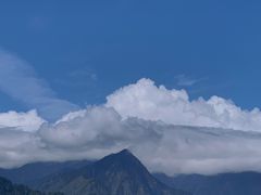 -卧龙自然保护区