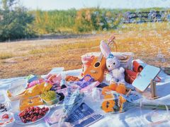 -西青郊野公园