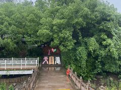 -天目湖山水园
