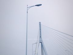 景点-大渡口区义渡公园