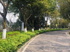 -南山植物园