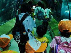 -福州罗源湾海洋世界旅游区