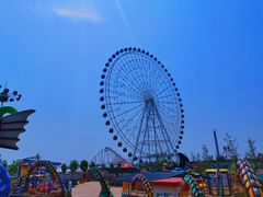 -凤凰欢乐大世界