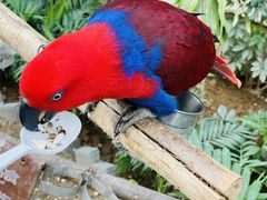 -南宫五洲植物乐园