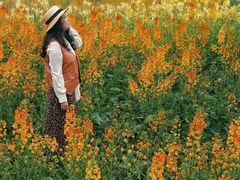 -三圣花乡旅游区