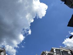 -黄浦江游览快线(金陵东路码头)