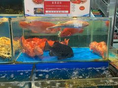 -岳各庄批发市场(西四环中路店)