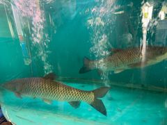 -红日饭店(裕隆三路店)