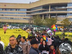 -三圣花乡旅游区