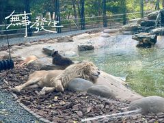 -北京野生动物园