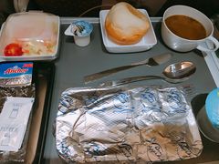 -新加坡航空公司(ION)