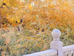 -北京动物园
