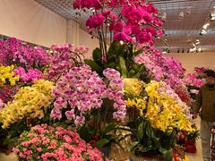 -双季花艺园艺市场(浦东店)