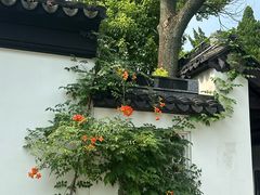 -苏州文庙(姑苏区)