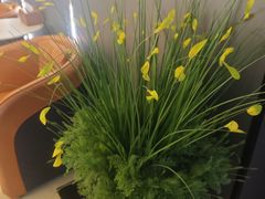 -康源四季推拿足道(罗秀店)