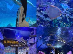 -郑州海洋馆