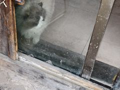 -嵊州特色小吃(萧山街店)