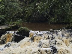 -茅兰沟国家森林公园