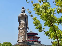 -蟹天蟹地农家菜·阳澄湖大闸蟹(浅水湾店)