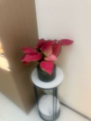 -头道汤头疗养生馆