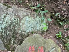 -庐山碧龙潭风景区